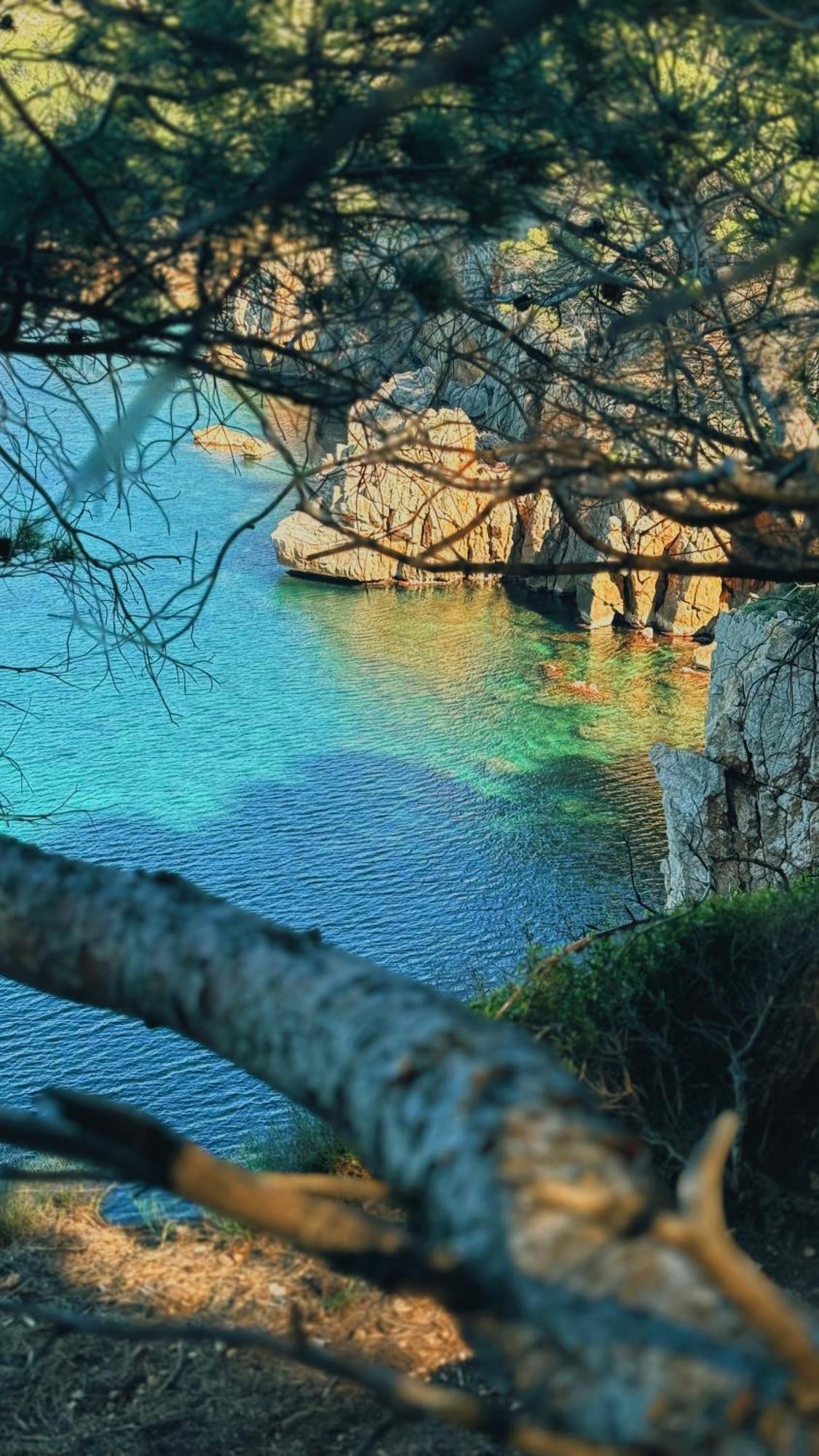 Can Romy Appartement T1 C - A 80M De La Plage De Cala Montgo L' Escala Eksteriør bilde